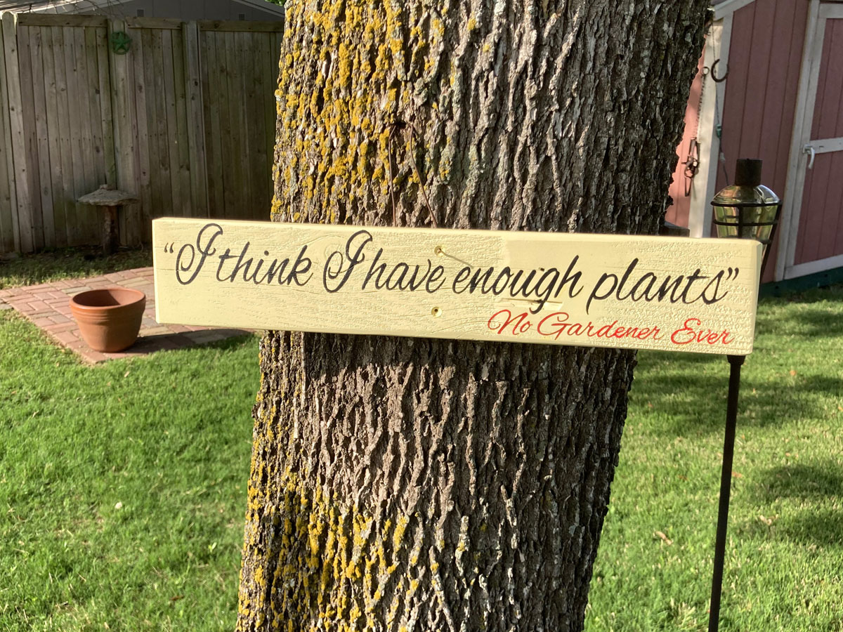 enough plants lifestyle enough plants lifestyle