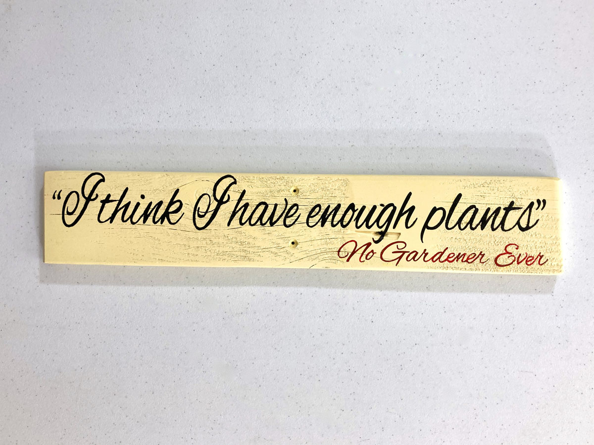 enough plants – white enough plants – white