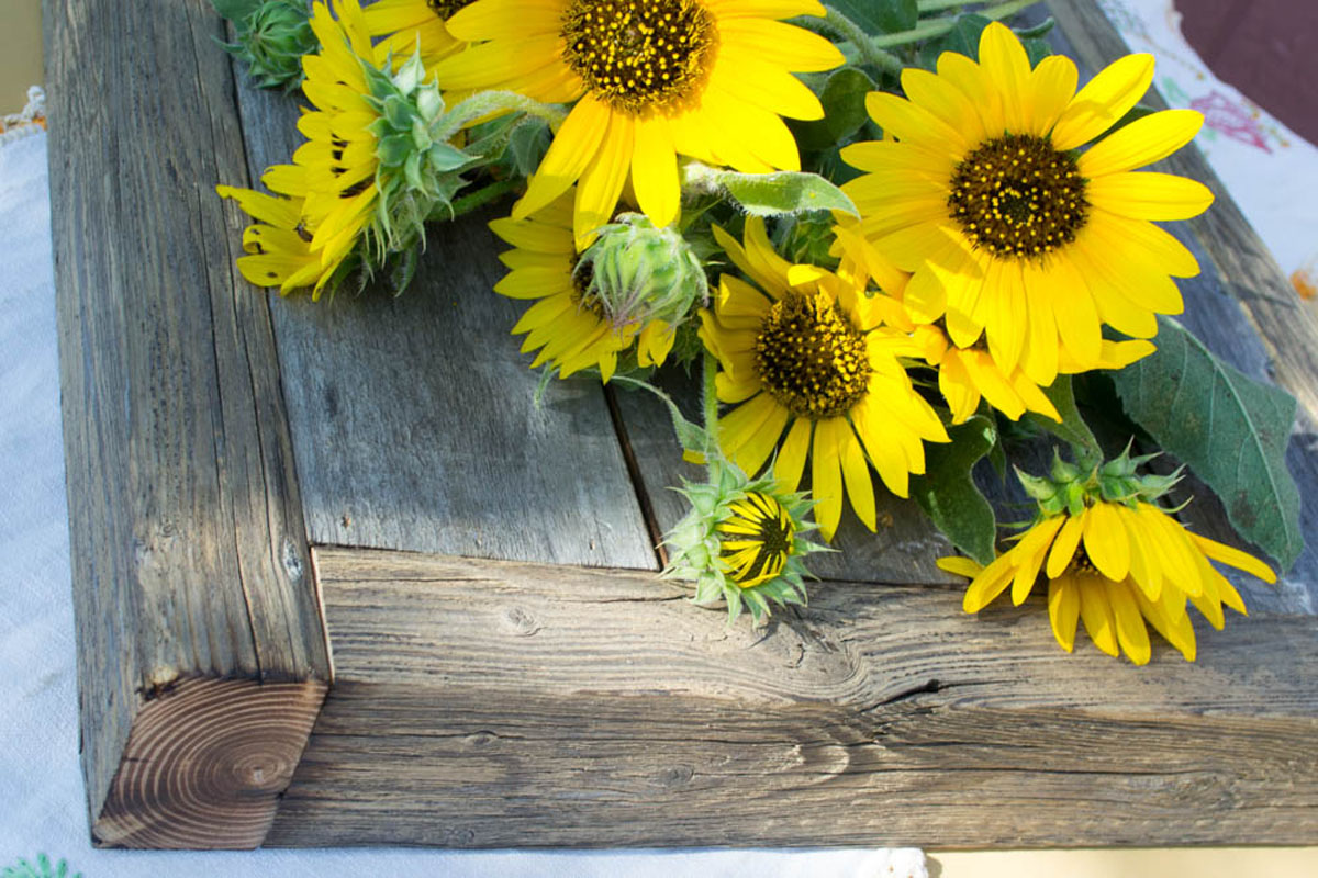 rustic cake stand with sunflowers close